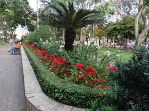 Сад в Hoai Pho Hotel