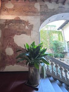 Balkon ili terasa u objektu Palazzo Salvecchio