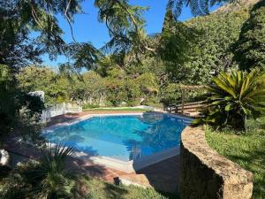 a large swimming pool in a yard with trees at Villa Loupiro in Mijas