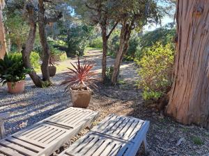 a white bench sitting in a park with trees at Clos Helene in Hyères