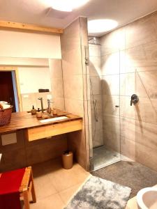 a bathroom with a shower and a sink at Peter Paul Domblick Erdgeschoss in Appiano sulla Strada del Vino
