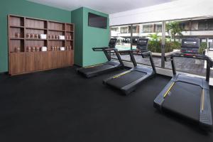 Fitness centrum a/nebo fitness zařízení v ubytování Holiday Inn Tulum by IHG