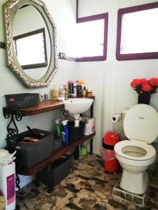 un baño con inodoro y espejo en Casa del Rio, en Sarapiquí