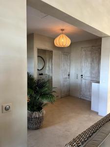 a hallway with a potted plant and a light fixture at Maison LouLou in Cogolin