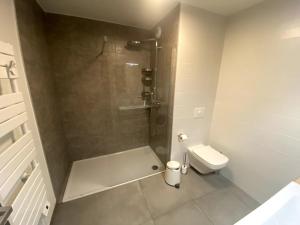 a bathroom with a shower and a toilet at Petit nid au centre ville avec garage privé in Annecy