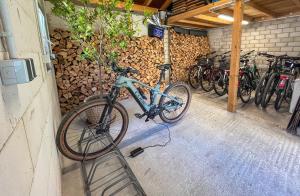 Jízda na kole v ubytování Akzent Hotel Atrium Baden nebo okolí