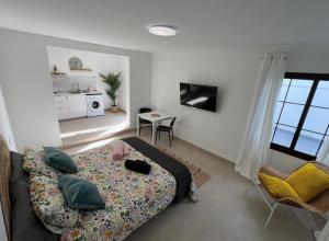 a living room with a bed and a kitchen at 23C Volcano & Spa in Tahiche