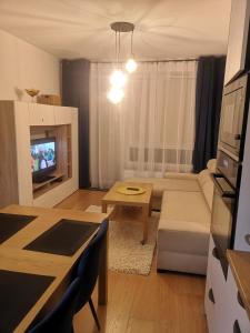 TV a/nebo společenská místnost v ubytování Apartament pod modrzewiem
