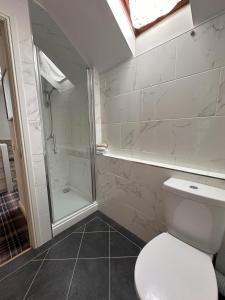 a bathroom with a toilet and a shower at Bilsdale Cottage in Helmsley