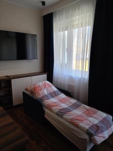 a bedroom with a bed and a window with a tv at Szafir- klimatyzacja, parking, Internet i ekspres do kawy in Lipno