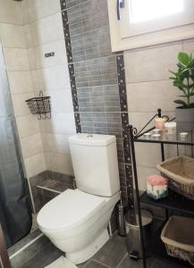 a bathroom with a white toilet and a shower at Nicki's cozy apartment! in Ioannina