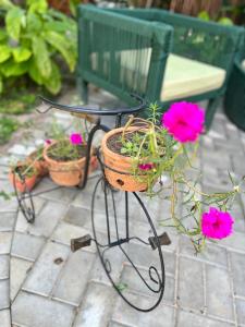 Zahrada ubytování Pousada Vilarejo