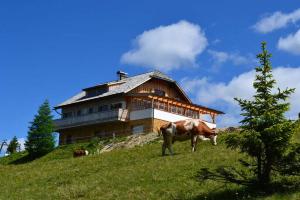 a cow standing on a hill in front of a house at JAUCHZA! Berg Apartments mit 360 Grad Blick in Innerkrems