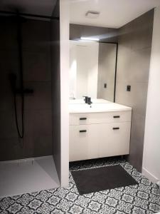 een badkamer met een witte wastafel en een douche bij gite Condrieu parking privé in Condrieu +7 foto's