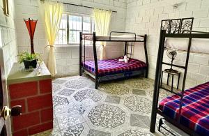a room with two bunk beds with a cat laying on the floor at Almalu Finca in Filadelfia