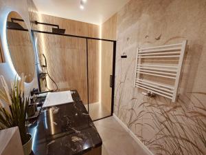 a bathroom with a shower with a sink and a mirror at Amber Coast Apartment Gdańsk in Gdańsk +25 photos