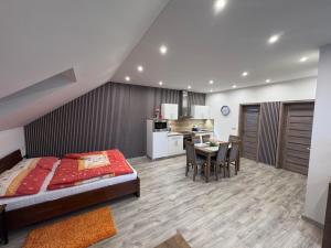 Η κουζίνα ή μικρή κουζίνα στο Apartmán Liso