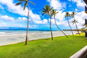 Příroda nedaleko apartmánu + 29 fotografií