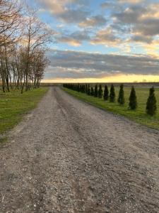 Imagen de la galería de luxury apartment Curchi 2, en Billund