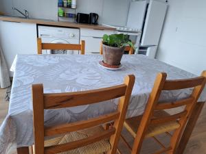 a table with two chairs and a potted plant on it at Studio côté jardin in Maureillas