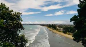 a view of the ocean with a beach and trees at Villa Del Mar Seaside Escape in Orewa