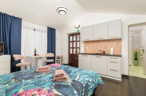 Kuchyňa alebo kuchynka v ubytovaní Funcic Apartments 2 app