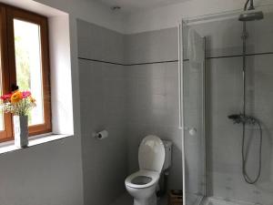un bagno con wc e doccia in vetro di Willow Cottage a Saint-Hilaire-sur-Bénaize