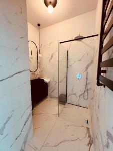 bagno con cabina doccia e porta in vetro di Hanza Tower, Apartament LESS IS MORE 15TH basen Sauna Spa a Stettino