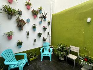 two blue chairs and potted plants on a wall at Casa Physalis in Ponta Delgada