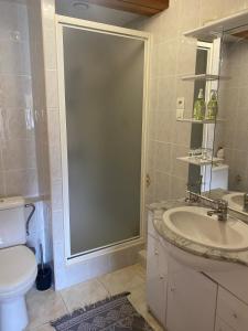 a bathroom with a shower and a toilet and a sink at gîte avec sauna in Blois +20 photos