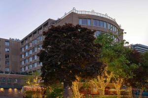 a large tree in front of a building at Courtyard by Marriott Halifax Downtown in Halifax