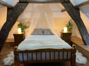 een slaapkamer met een bed met een klamboe bij Gîte 1 Château Bellenau in Saint-Côme-du-Mont