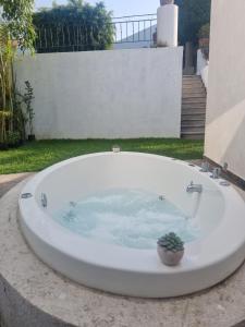 a large bath tub with a potted plant in it at Casa del río para disfrutar in Alpuyeca