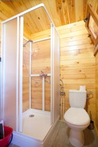 a bathroom with a shower and a toilet in a room at Domki letniskowe KEYA in Gąski +21 photos