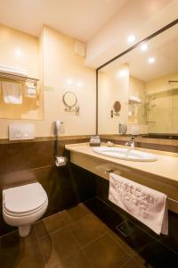 ein Badezimmer mit einem WC, einem Waschbecken und einem Spiegel in der Unterkunft Grand Hotel Napoca in Cluj-Napoca