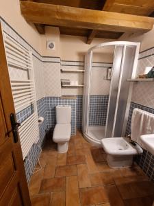 un bagno con wc, doccia e lavandino di Chalet 4d en Panticosa en urbanización con piscina y padel a Panticosa Altre 16 foto