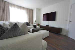 TV a/nebo společenská místnost v ubytování The Dublin Luxe