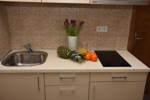 a kitchen counter with a sink and fruits and vegetables at Apartments Lavendula in Vodice +59 photos