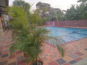 Curitagua Hotel Campestre内部或周边的泳池