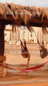 Fotografie z fotogalerie ubytování Eco Desert Camp v destinaci Merzouga