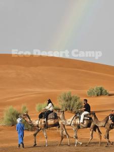 Hosté ubytování Eco Desert Camp