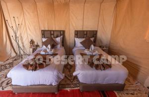 Postel nebo postele na pokoji v ubytování Eco Desert Camp