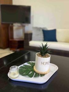 a plant in a pot on a plate on a table at Casa Soly in Mazatlán