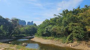 a river with trees on the side of a road at Green Valley Lodge in Khao Sok