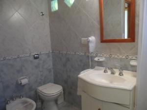 a bathroom with a sink and a toilet and a mirror at Cabaña Ruca Kushe in Lago Puelo +13 photos