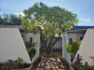 Aed väljaspool majutusasutust Zomad Hostels
