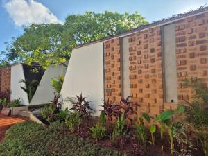 Aed väljaspool majutusasutust Zomad Hostels
