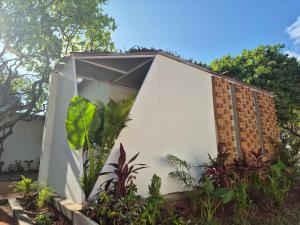 Aed väljaspool majutusasutust Zomad Hostels
