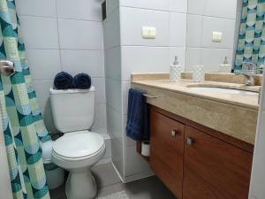 un baño con inodoro y lavabo en DSalas 445 con estacionamiento Concepcion, en Concepción 12 fotos más