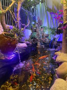 Fotografie z fotogalerie ubytování Green Jungle Homestay - Phù Hợp Gia Đình Từ 10 - 15 Người Lớn & 5 Trẻ Em - Bãi Đậu Xe Ô Tô, Sân BBQ - Miễn Phí Sử Dụng Dịch Vụ Hồ Bơi Cách Homestay 3 Phút Đi Bộ - 7 Phút Đi Bộ Đến Biển - 5 Phút Đến Chợ Hải Sản Phú Thuỷ v destinaci Phan Thiết